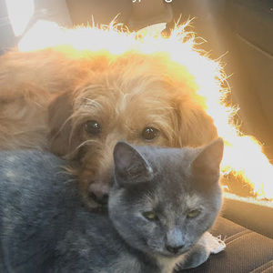 Meet your Posher, Samantha